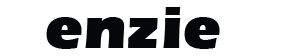 enzie Space Saving Stairs Logo